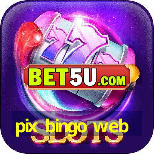 pix bingo web